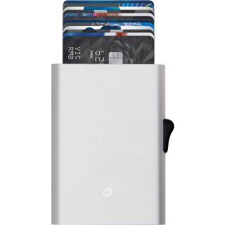 Kartenhülle XL - XL Cardholder Silver